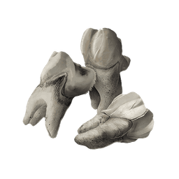 Sharrac Teeth